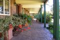 Property photo of 12153 Carnarvon Highway St George QLD 4487