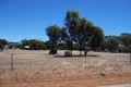 Property photo of 19 Costelloe Street Wagin WA 6315