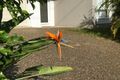 Property photo of 78 Windle Road Brassall QLD 4305