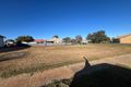 Property photo of 2 Parkes Street Trundle NSW 2875