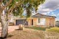 Property photo of 8 Stanley Street Acacia Ridge QLD 4110