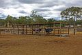 Property photo of 19 Major Street Leyburn QLD 4365