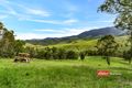 Property photo of 3756 Thunderbolts Way Bretti NSW 2422