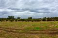 Property photo of 14 Bush Pea Drive Seymour VIC 3660