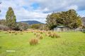 Property photo of 310 Judds Creek Road Judbury TAS 7109