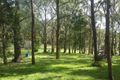 Property photo of 143 Trounces Lane Mount Egerton VIC 3352
