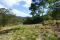 Property photo of 210 Ruggs Road Nethercote NSW 2549