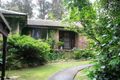Property photo of 38 Orient Street Willow Vale NSW 2575