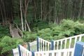Property photo of 5 Jordan Way Mirboo North VIC 3871