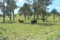 Property photo of 159 Dead Horse Lane Toogoolawah QLD 4313