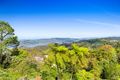 Property photo of 42 Loop Road Lower Beechmont QLD 4211