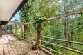 Property photo of 79 Toolona Street Tugun QLD 4224