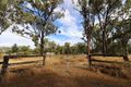 Property photo of 21 Kroombit Road Bouldercombe QLD 4702