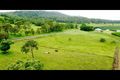 Property photo of 693 Mount Martin Loop Road Mount Martin QLD 4754