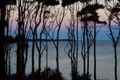 Property photo of 207A Beach Road Denhams Beach NSW 2536