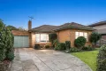 Property photo of 13 Adelaide Avenue Mount Waverley VIC 3149