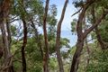 Property photo of 68 George Street Lorne VIC 3232