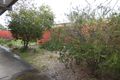 Property photo of 1/41 Wheeler Street Castlemaine VIC 3450