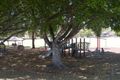 Property photo of 19 Hoben Street Mitchelton QLD 4053