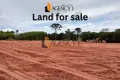 Property photo of 176 Macarthur Road Spring Farm NSW 2570