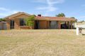 Property photo of 44 Thompson Drive Wanneroo WA 6065