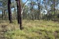 Property photo of LOT 57 Franklin Road Wattle Camp QLD 4615
