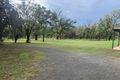 Property photo of 139 Rosemount Road Hollydeen NSW 2328