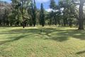 Property photo of 139 Rosemount Road Hollydeen NSW 2328
