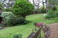 Property photo of 53 Moree Street Gordon NSW 2072