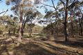 Property photo of 278 Old Shirley Road Beaufort VIC 3373