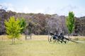 Property photo of 42 Razorback Road Tallong NSW 2579