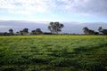 Property photo of 53 Clarence Road Kudla SA 5115