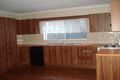 Property photo of 135 Willison Road Carlton NSW 2218