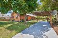 Property photo of 11 Conch Close Trinity Beach QLD 4879