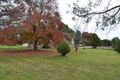 Property photo of 4 Camp Street Eugowra NSW 2806