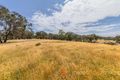 Property photo of 133 Wadeson Road Hurstbridge VIC 3099