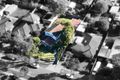Property photo of 5 Lola Street Mulgrave VIC 3170
