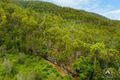 Property photo of 1112 Wild Pig Creek Road Undullah QLD 4285