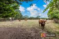 Property photo of 192 Eramosa Road East Somerville VIC 3912