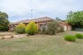 Property photo of 19 Windsor Avenue Alfredton VIC 3350