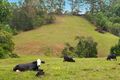 Property photo of Tarcoola Lane Uki NSW 2484