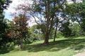 Property photo of 256 Obi Obi Road Mapleton QLD 4560
