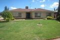 Property photo of 3 Springwood Road Risdon Park South SA 5540