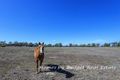 Property photo of 55 Fairmeadow Road Rifle Range QLD 4311