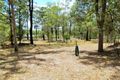 Property photo of 79 Velvet Street Pine Mountain QLD 4306