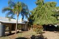 Property photo of 300 Dalziel Road Glossop SA 5344