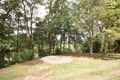 Property photo of 249 North Arm Road North Arm QLD 4561