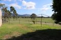 Property photo of 87 Magog Road Marlborough QLD 4705
