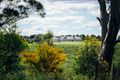 Property photo of 550 Oxleys Hill Road Berrima NSW 2577