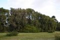 Property photo of 80 Lagoon Drive Yallingup WA 6282